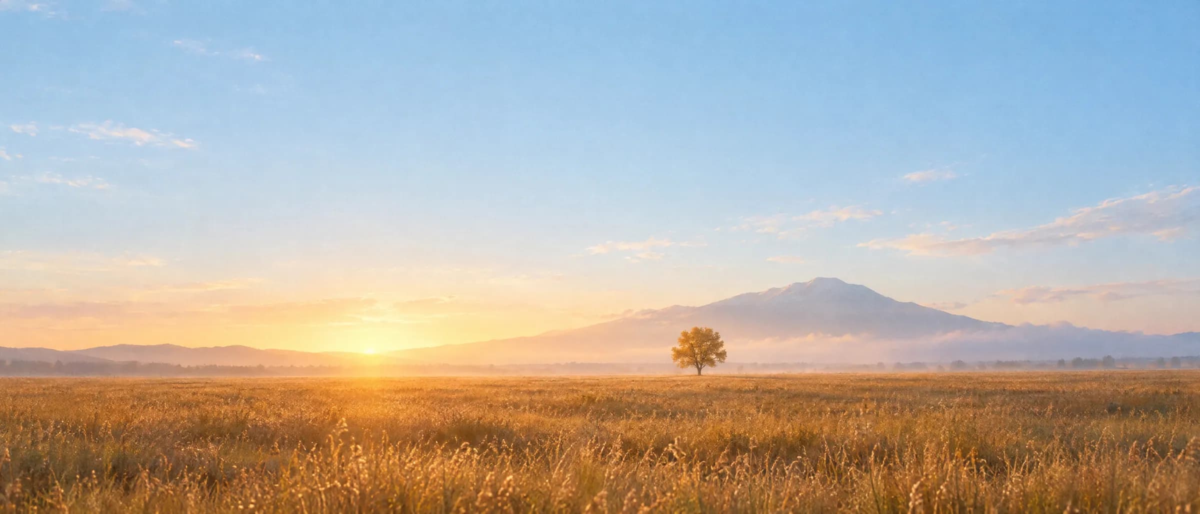 A golden field at sunrise with one small tree on the horizon